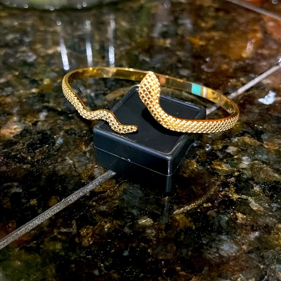 Jewelry - NWOT Fashion Snake Bracelet Stainless Steel adjustable size gold plated